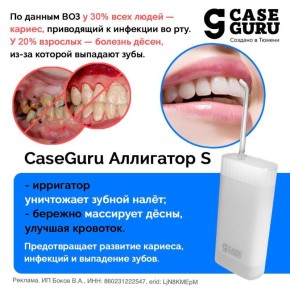  :   CaseGuru                 