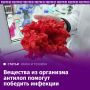 Российские ученые обнаружили и изучили неизвестное ранее семейство пептидов, которые обладают уникальными антимикробными свойствами и могут стать основой для нового вида антибиотиков