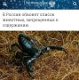 В России обновят список животных, запрещенных к содержанию: Змеям, крокодилам и львам запретят жить в квартирах