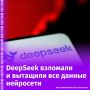  DeepSeek       ,     Wiz Research