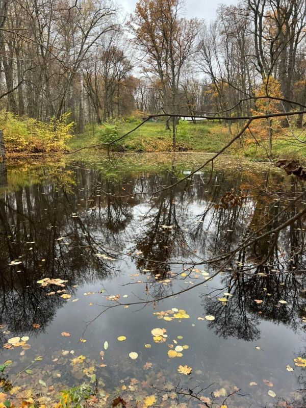 Последняя аномально теплая неделя нынешней осени ждёт туляков в предстоящие 5 дней ноября