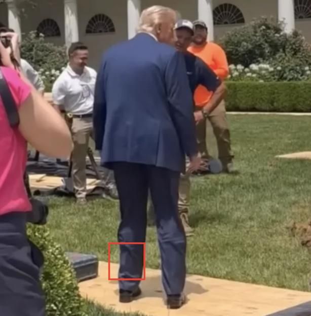  :   ,       ,         -      