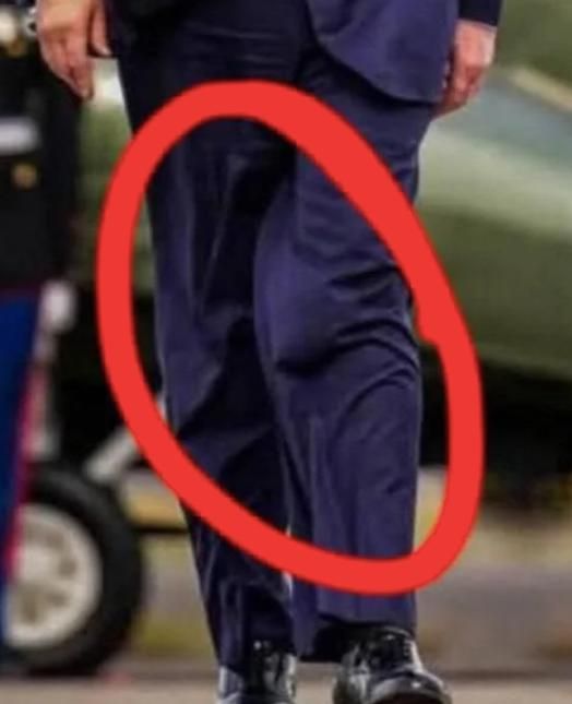  :   ,       ,         -      