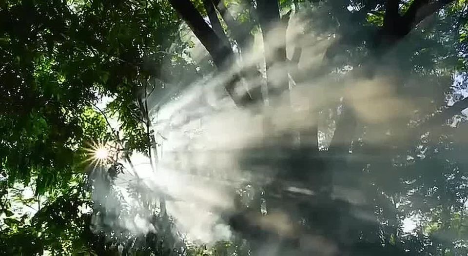 В День народного единства Сбер показал ролик, созданный с помощью нейросети Kandinsky