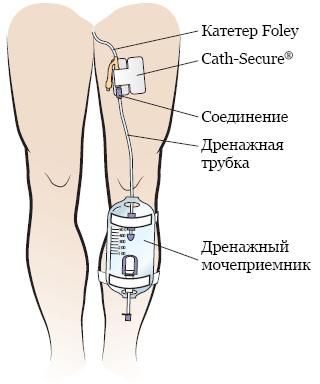  :   ,       ,         -      