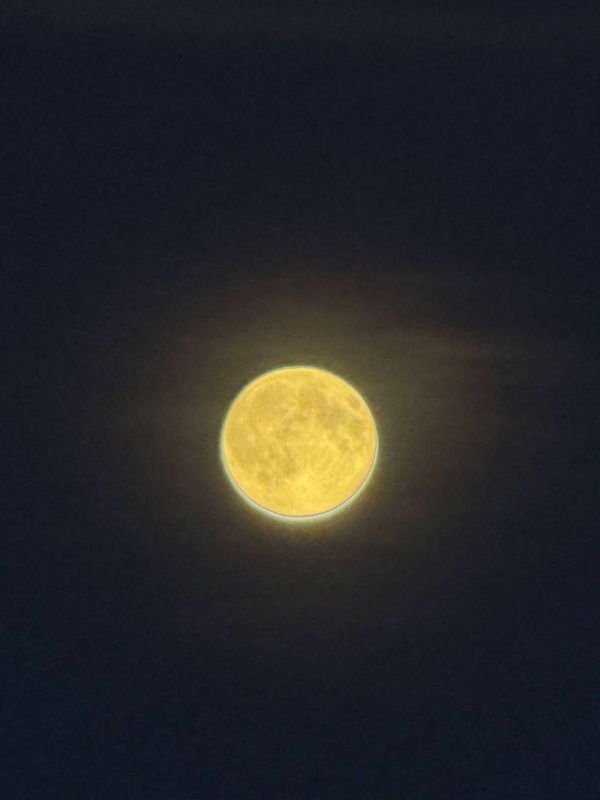 Небо осветила Бобровая луна - самая яркая и крупная в этом году: Пик явления наступит ближе к двум часам ночи, когда Луна достигнет самой близкой к Земле точки своей орбиты Небо осветила Бобровая луна - самая яркая и крупная в этом году: Пик явления наступит ближе к двум часам ночи, когда Луна достигнет самой близкой к Земле точки своей орбиты