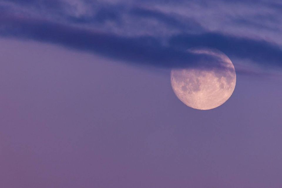 Небо осветила Бобровая луна - самая яркая и крупная в этом году: Пик явления наступит ближе к двум часам ночи, когда Луна достигнет самой близкой к Земле точки своей орбиты Небо осветила Бобровая луна - самая яркая и крупная в этом году: Пик явления наступит ближе к двум часам ночи, когда Луна достигнет самой близкой к Земле точки своей орбиты