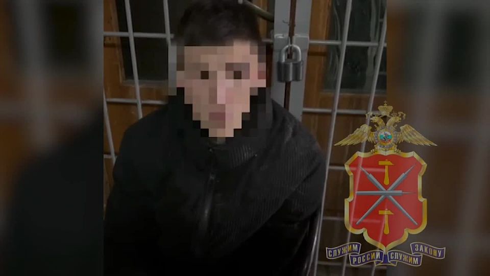 В парке Щекина 22-летний мужчина избил девушку и похитил ее сумку