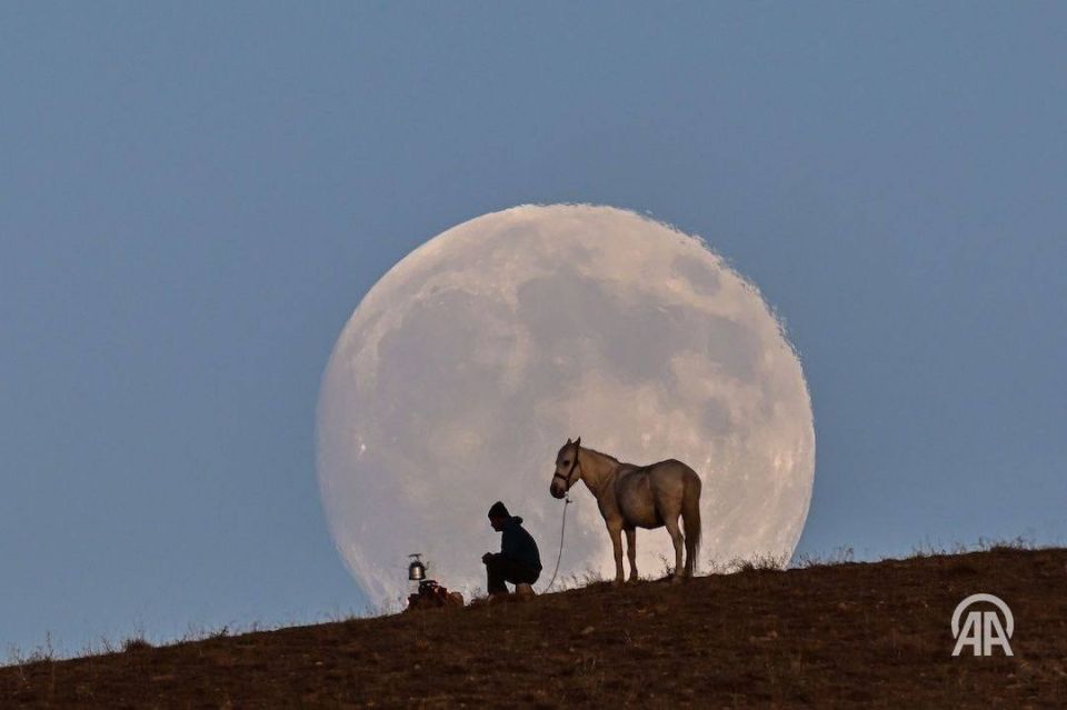 Небо осветила Бобровая луна - самая яркая и крупная в этом году: Пик явления наступит ближе к двум часам ночи, когда Луна достигнет самой близкой к Земле точки своей орбиты Небо осветила Бобровая луна - самая яркая и крупная в этом году: Пик явления наступит ближе к двум часам ночи, когда Луна достигнет самой близкой к Земле точки своей орбиты