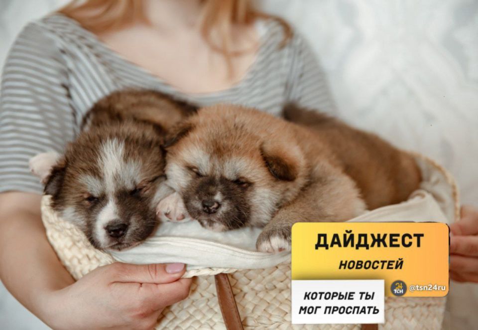 Рассказываем о новостях, которые вы могли пропустить вчера