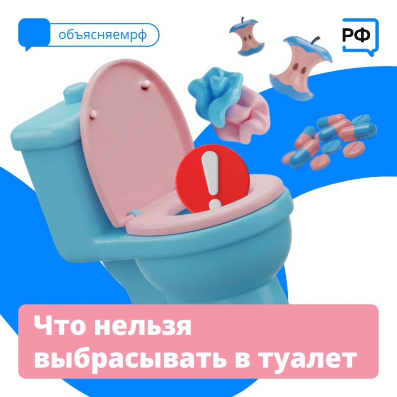 Салфетки, ватные диски, остатки заварки и еда, которую приходится выбросить, — что только не летит в туалет
