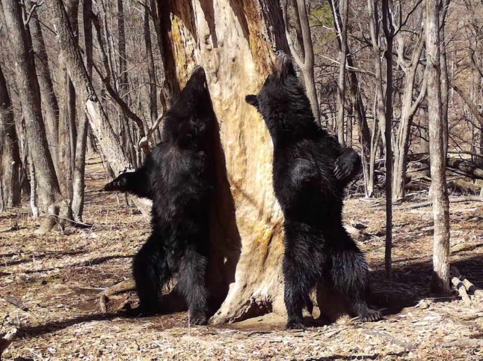 &quot;&quot;    200-      