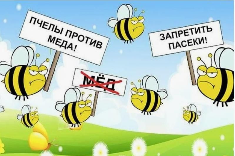  :     &quot; &quot;  :