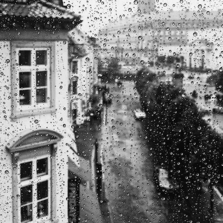 Олег Царёв: — Плохая погода, — сказал он