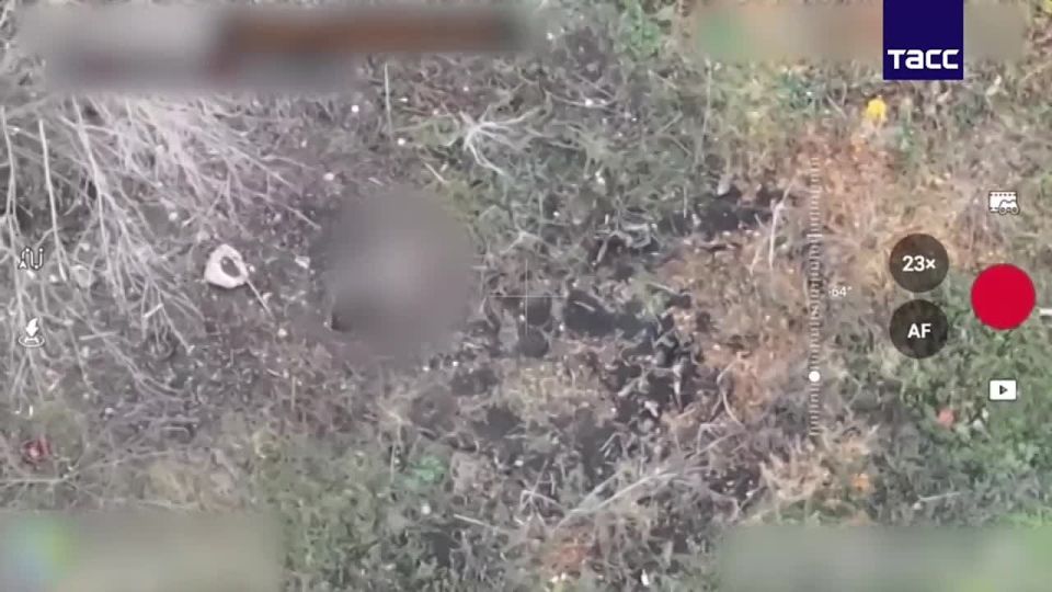       ,      []  &quot;&quot;     