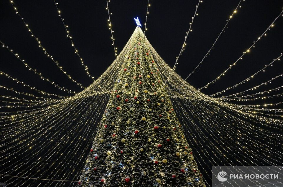 В Госдуме анонсировали выходной день 31 декабря