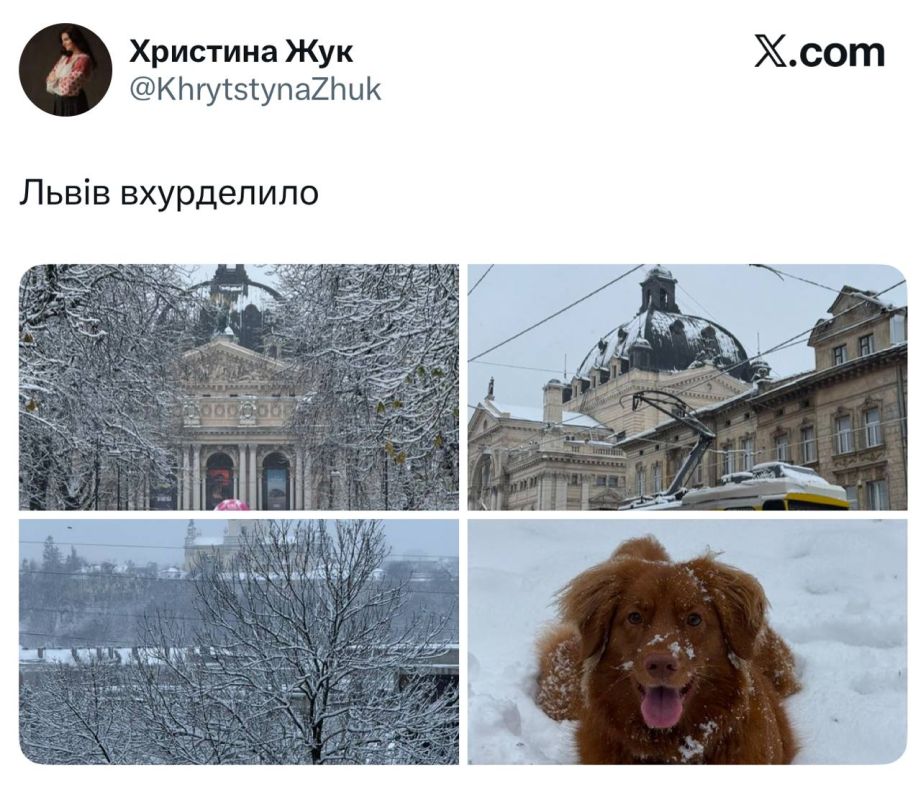  :   ,       ,                ,    ...