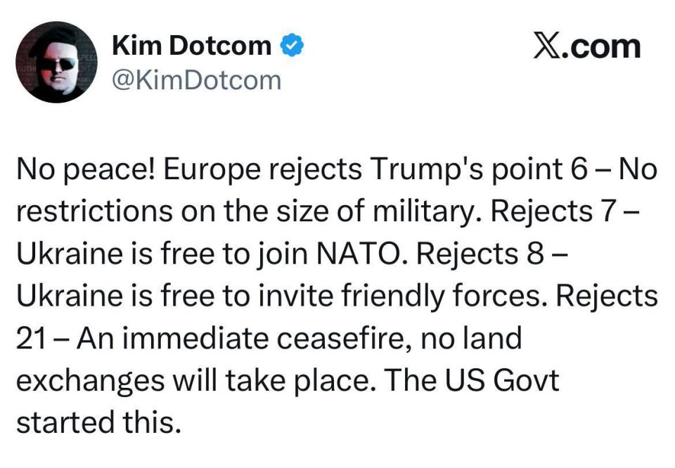 Немецкий бизнесмен и активист Ким Дотком: