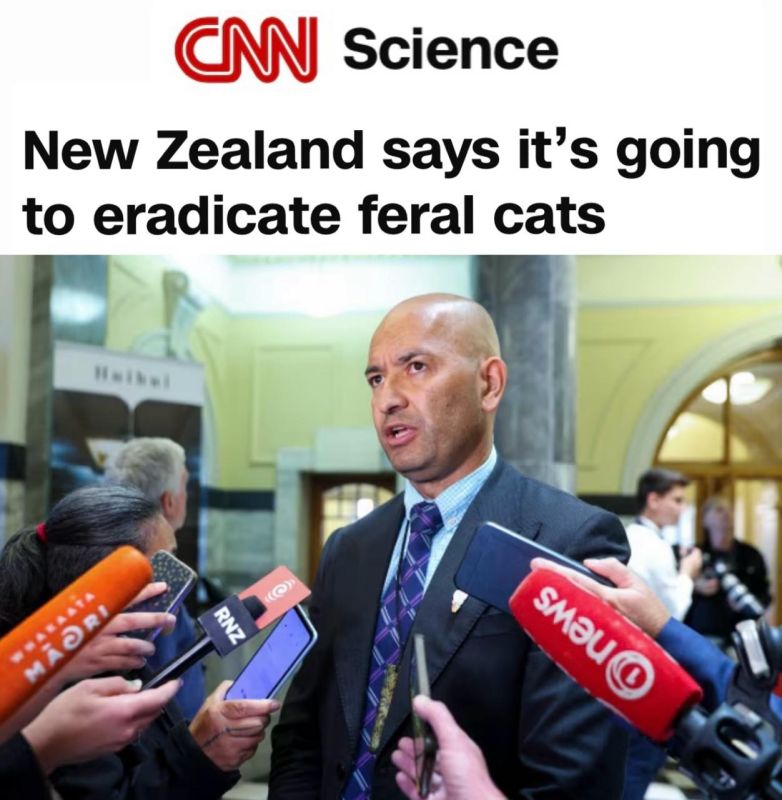   ,     :        2050  -   &quot;   &quot;