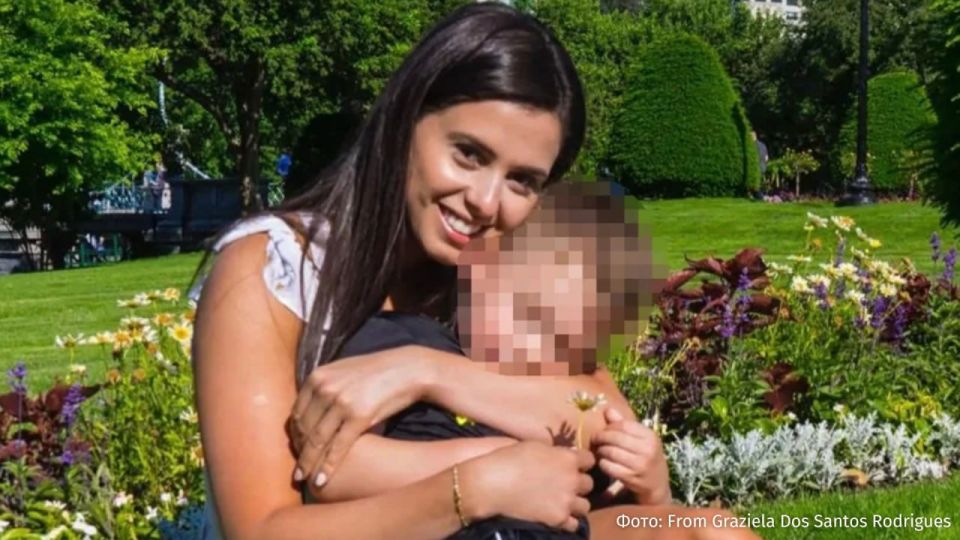   :  -  ,      ,     (ICE)