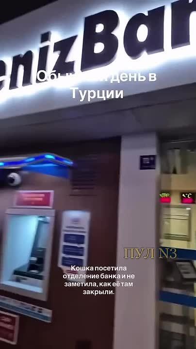  :      ,       -    ,   