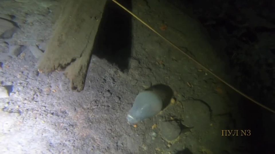    :.          -      XVI  -