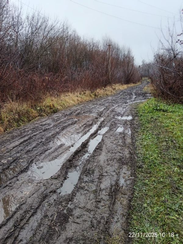 Жители поселка Казановка под Кимовском утонули в грязи, но власти говорят, что денег нет Жители поселка Казановка под Кимовском утонули в грязи, но власти говорят, что денег нет