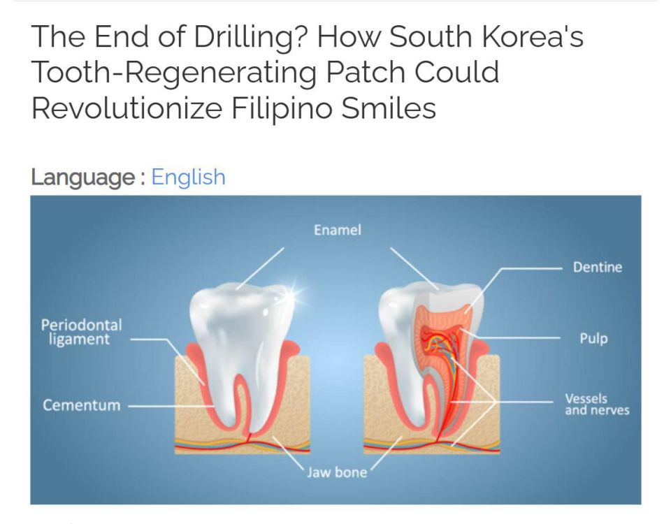  :                  ,       ...