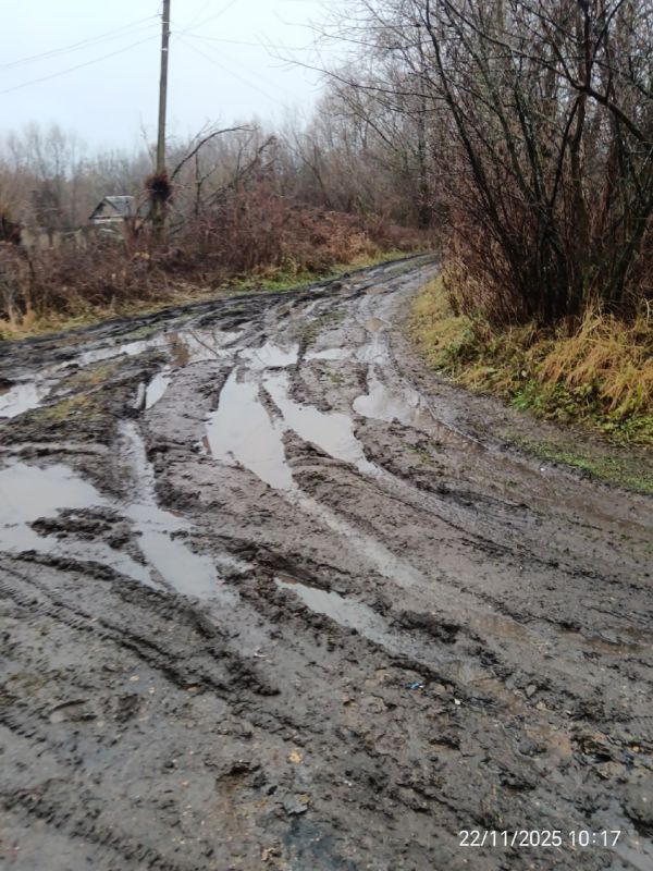 Жители поселка Казановка под Кимовском утонули в грязи, но власти говорят, что денег нет Жители поселка Казановка под Кимовском утонули в грязи, но власти говорят, что денег нет