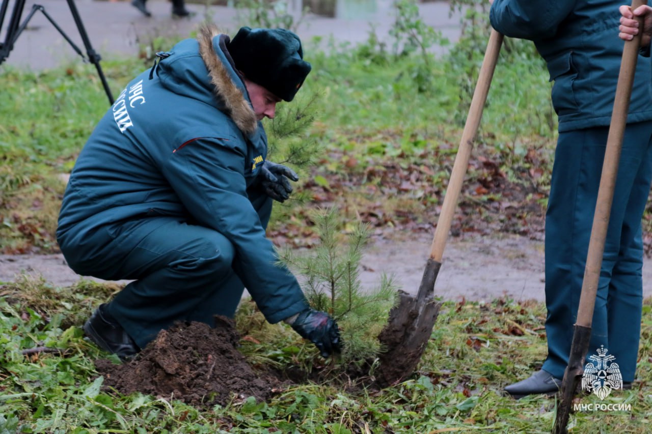 В Тульской области спасатели высадили памятную аллею деревьев в честь 35-летия МЧС России В Тульской области спасатели высадили памятную аллею деревьев в честь 35-летия МЧС России