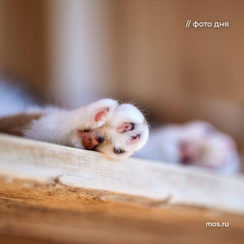  :   !. ,     ,         !