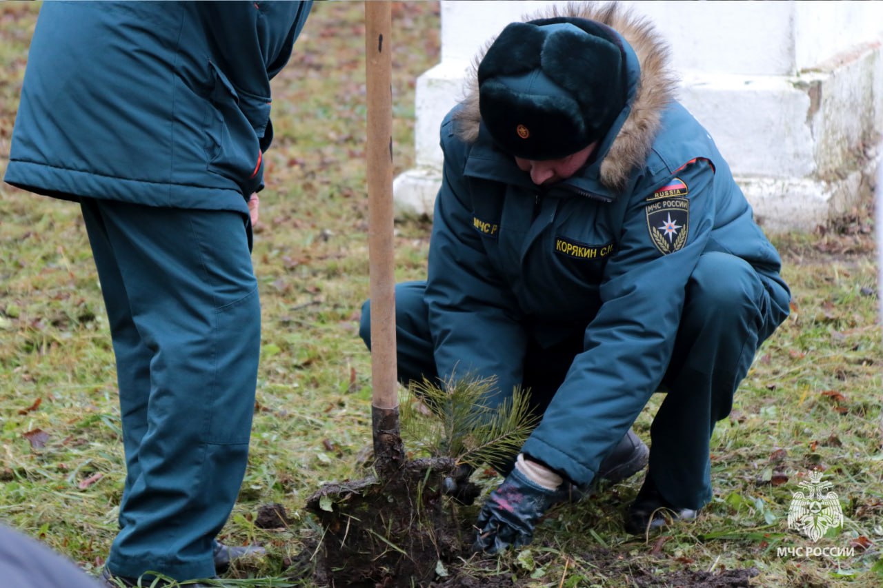 В Тульской области спасатели высадили памятную аллею деревьев в честь 35-летия МЧС России В Тульской области спасатели высадили памятную аллею деревьев в честь 35-летия МЧС России