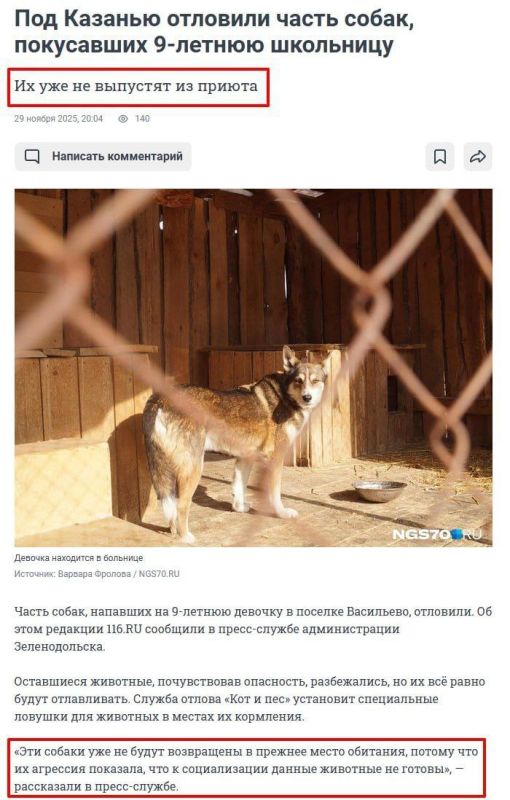 Андрей Медведев: Прекрасное от администрации Зеленодольска