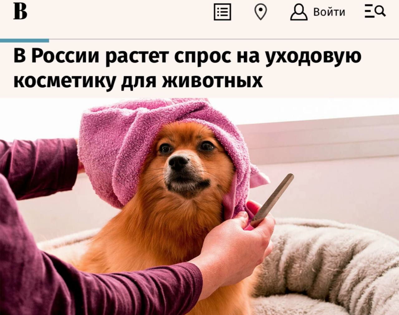 «В России растет спрос на уходовую косметику для животных»: В 2025 году россияне заботились о животных больше, чем о себе
