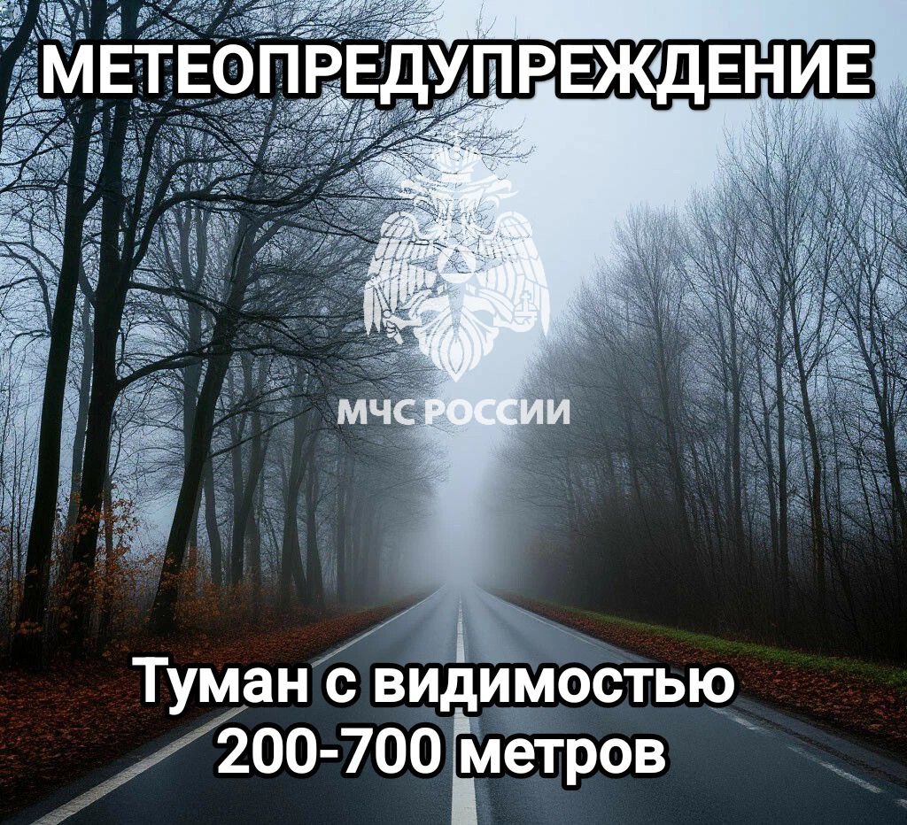 #Метеопредупреждение. 29 ноября с сохранением ночью и утром 30 ноября местами на территории Тульской области ожидается туман с видимостью 200-700м (по данным Тульского центра по гидрометеорологии и мониторингу окружающей...