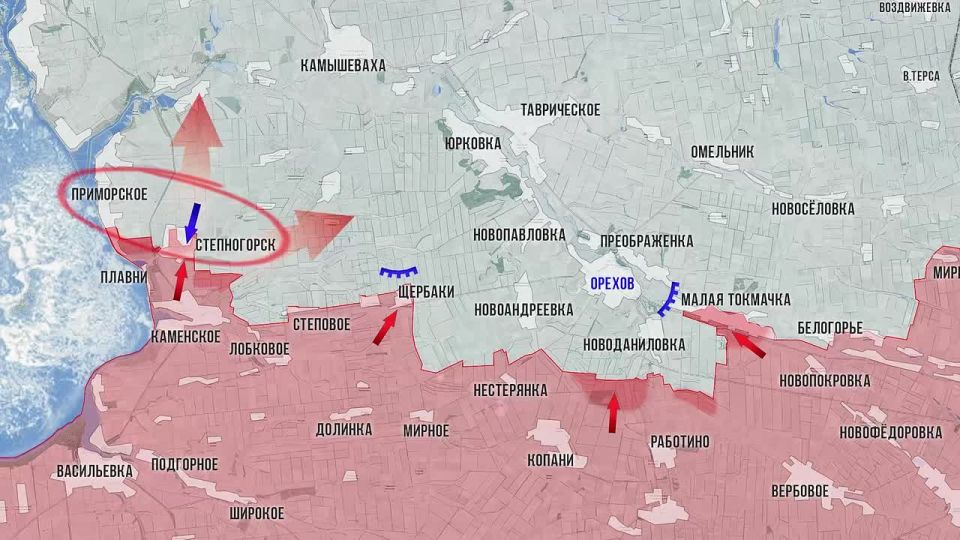 Олег Царёв: Фронтовая сводка 29 ноября, видеоформат