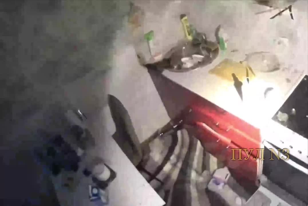 В Новосибирске собака устроила взрыв в квартире – и спряталась на балконе: