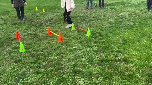 Когда родители до сих пор запрещают завести собаку – Германию захватил хоббидоггинг: