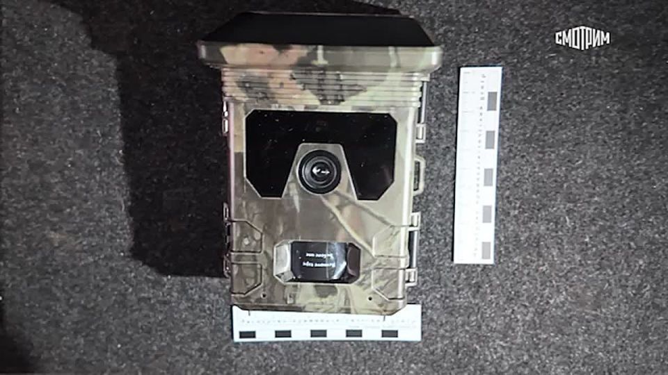 Юлия Витязева: Из «истории болезни» задержанного: