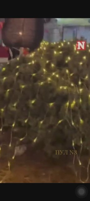 В США медведь пришел с инспекцией на рождественскую ярмарку: