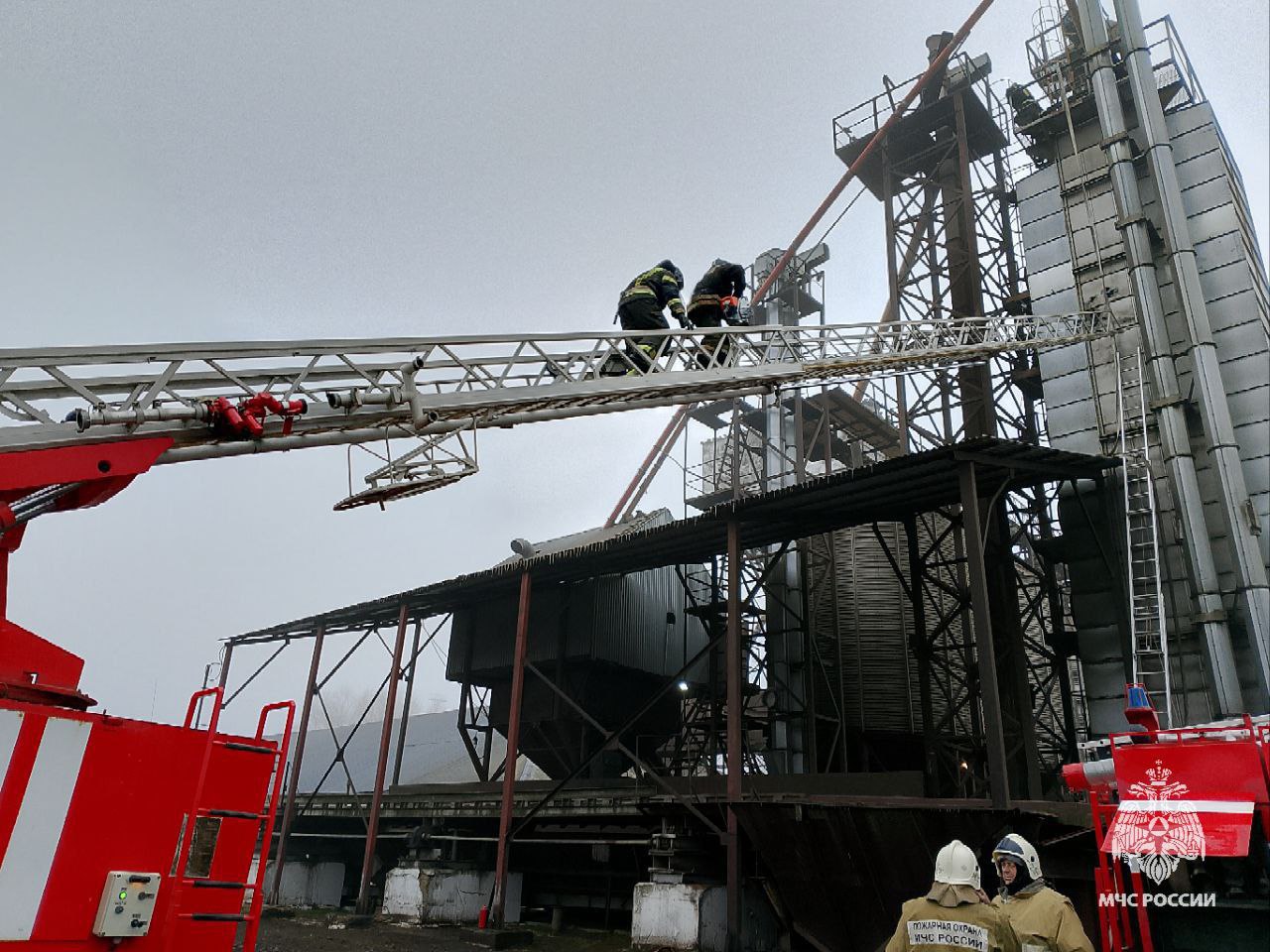 В Тульской области за прошедшие сутки 29 ноября В Тульской области за прошедшие сутки 29 ноября