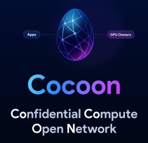      Cocoon   -  