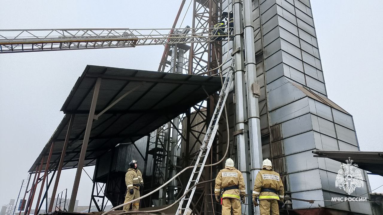 В Тульской области за прошедшие сутки 29 ноября В Тульской области за прошедшие сутки 29 ноября