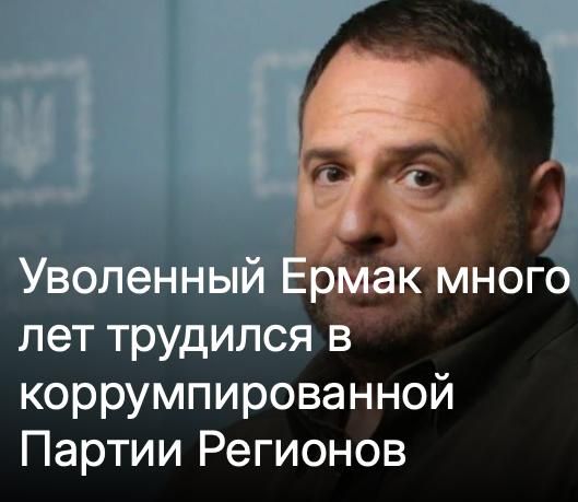 Михаил Онуфриенко: Обжигающий антикризот немецкого Ди Вельта