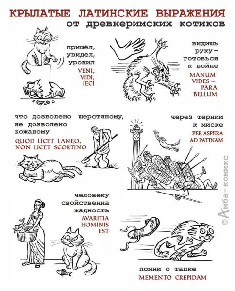 Михаил Онуфриенко: Котэ. Теория