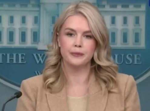 Администрация Трампа «очень оптимистично» оценивает шансы на сделку с Украиной, заявила пресс-секретарь Белого дома Каролин Ливитт