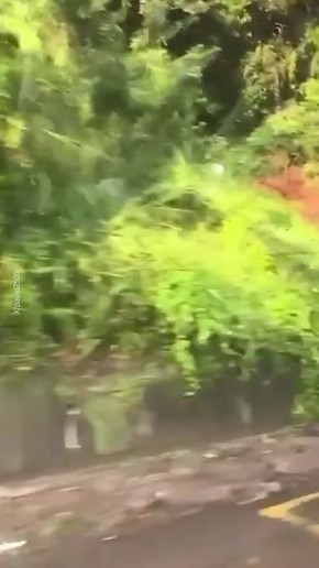  500   -      ,  Reuters