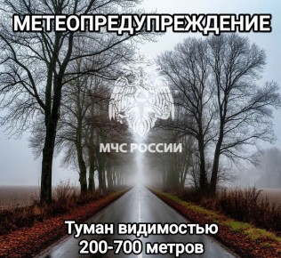 #Метеопредупреждение. В дневные часы 2 декабря местами на территории тульской области сохранится туман с видимостью 200-700 метров (по данным Тульского центра по гидрометеорологии и мониторингу окружающей среды) ГУ МЧС...