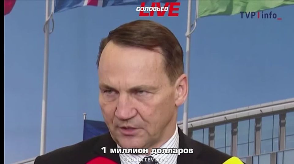 Польша, Германия и Норвегия направят $500 миллионов на закупку американских вооружений для Украины, заявил глава МИД Польши Радослав Сикорский накануне встречи НАТО в Брюсселе