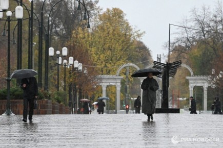 Облачную погоду, небольшие осадки и до +3 прогнозируют в Москве в выходные